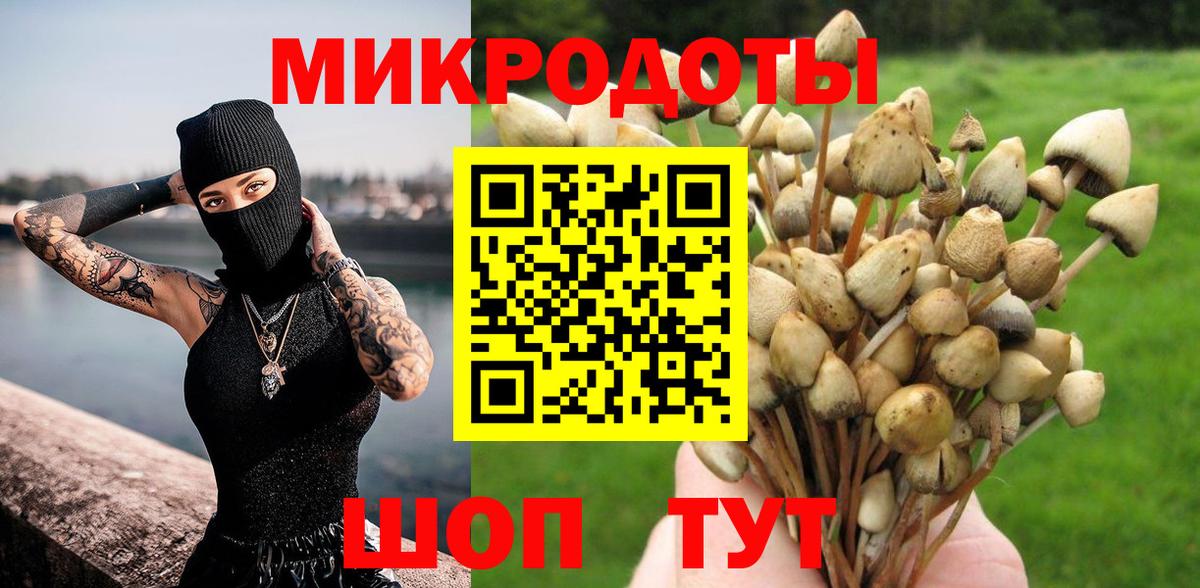 Выборг  Псилоцибиновые грибы Magic Shrooms  Вход с VPN 